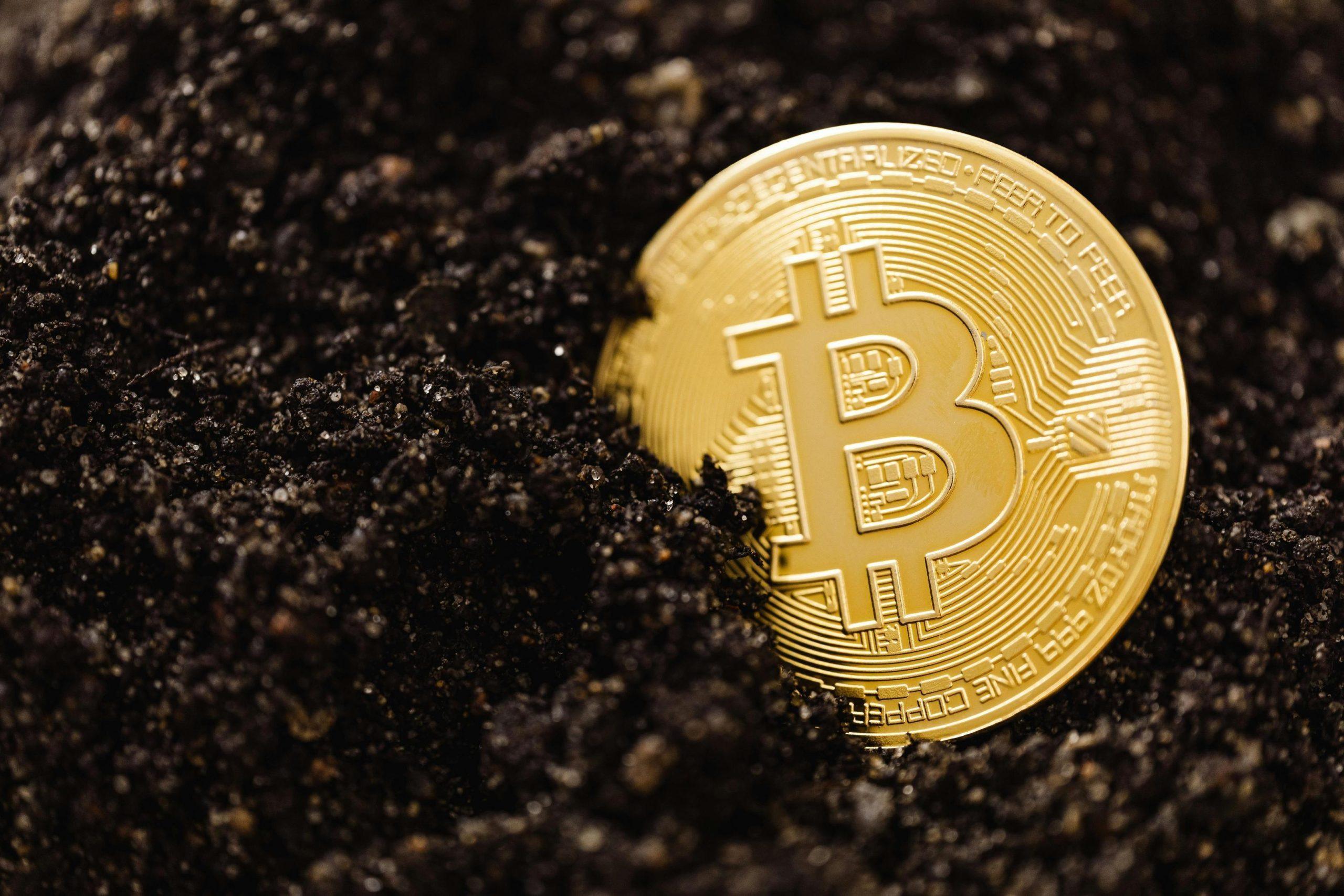 Plug-and-Play Bitcoin Mining Hosting in Dubai: The Perfect Start for Beginners