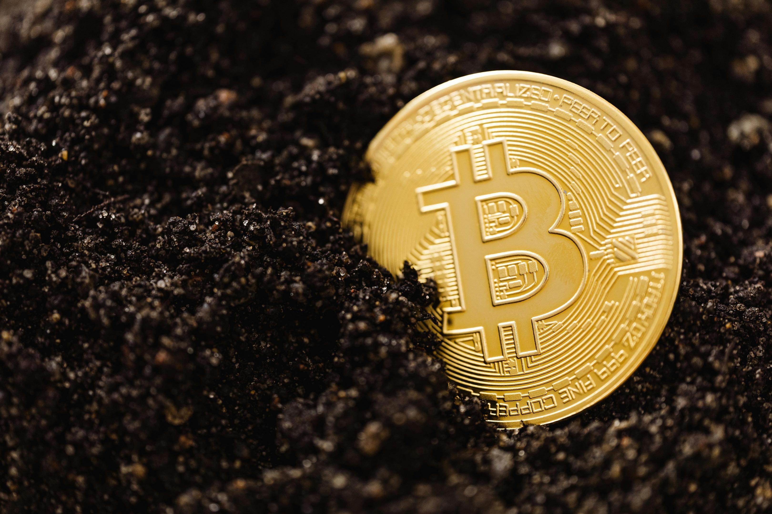 Plug-and-Play Bitcoin Mining Hosting in Dubai: The Perfect Start for Beginners
